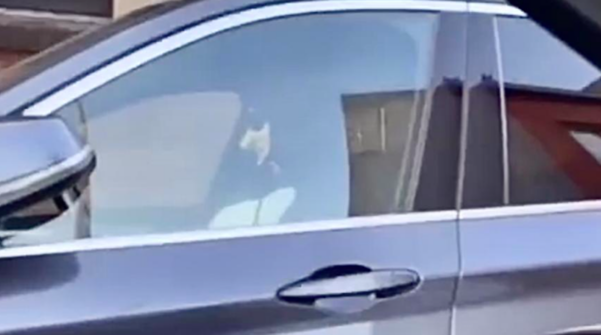 belge découvre astuce pour éviter pv stationnement !