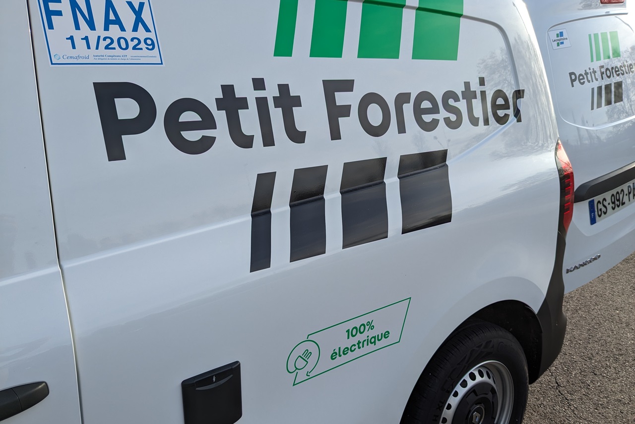 Petit Forestier