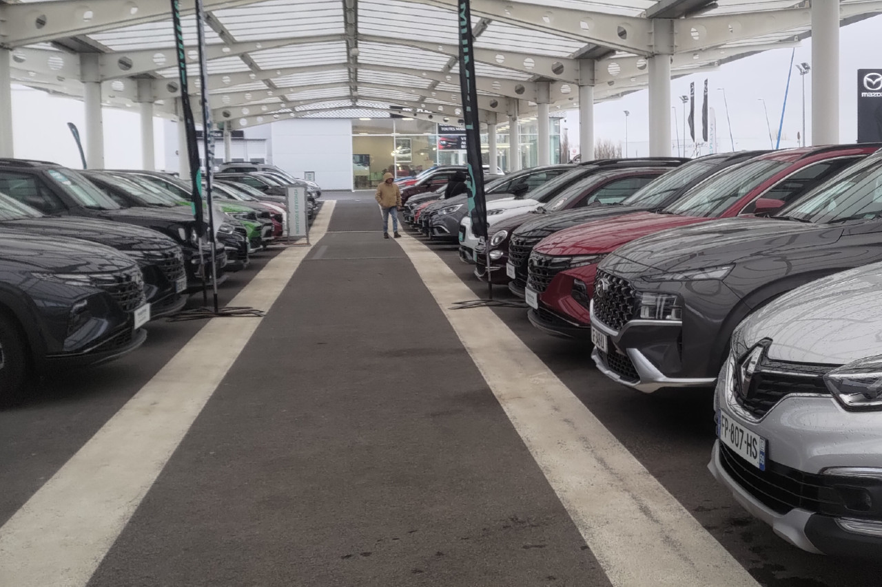 Carvivo VO octobre novembre 2023