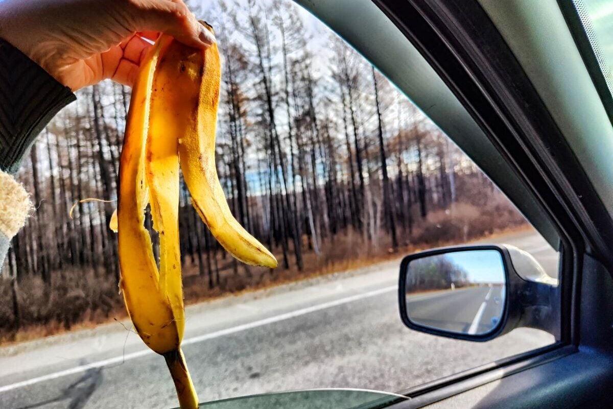 amende pour avoir jeté une peau de banane par la
