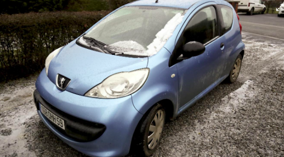il vous offre sa voiture si vous retrouvez ses chiennes