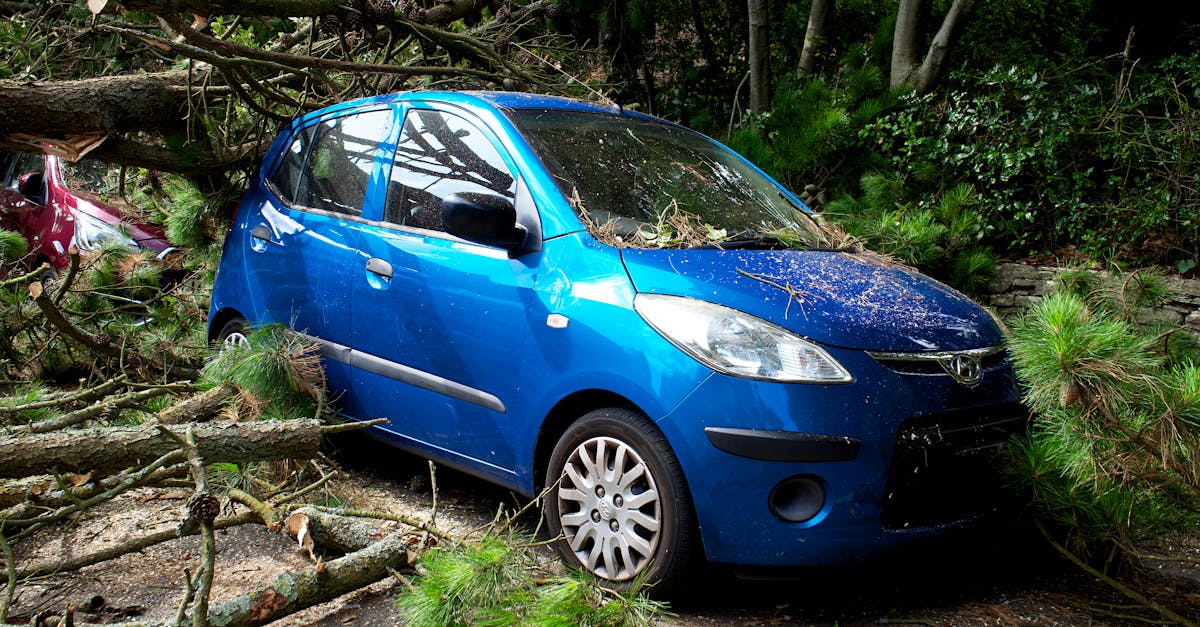 découvrez la meilleure assurance auto adaptée aux travailleurs indépendants pour protéger votre véhicule en toute sérénité.