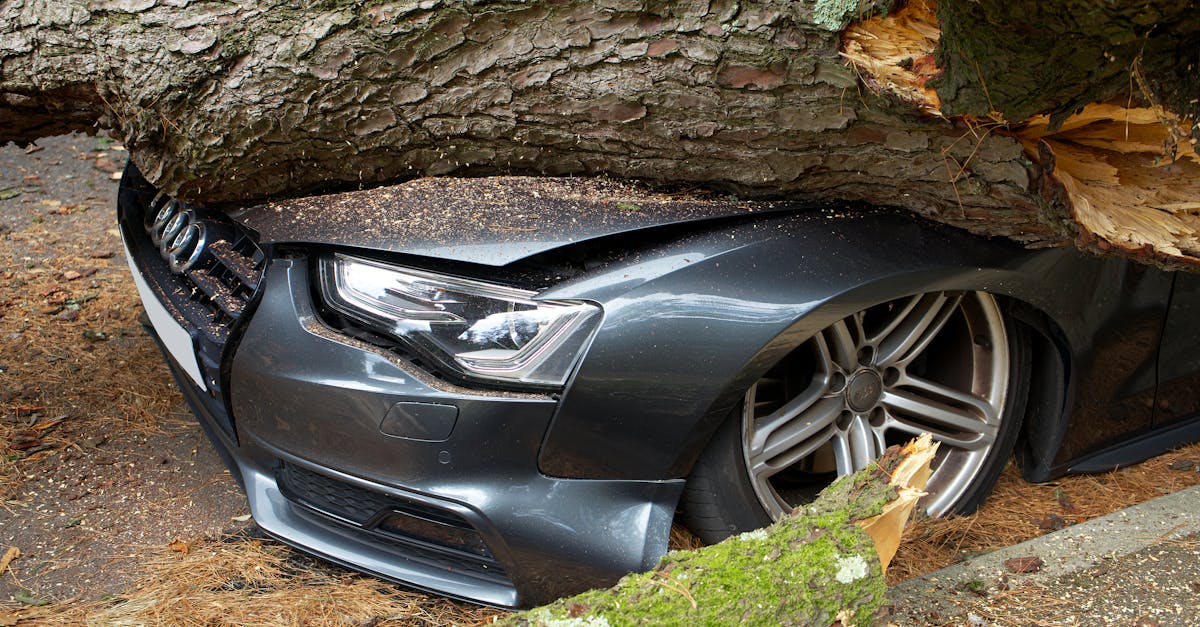 découvrez une assurance auto adaptée à vos besoins pour protéger votre véhicule et rouler en toute sérénité. comparez les offres et choisissez la meilleure couverture.