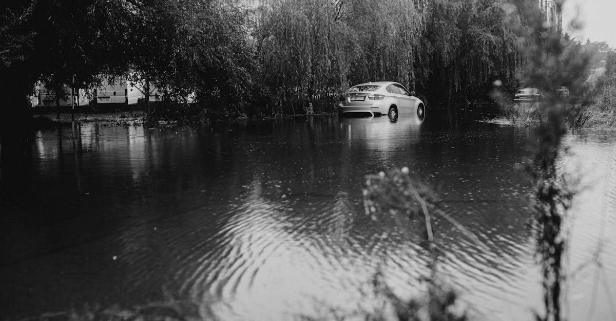 transférez facilement votre assurance auto lors d'un changement de véhicule ou de propriétaire. découvrez nos conseils pour un transfert rapide et sans tracas.